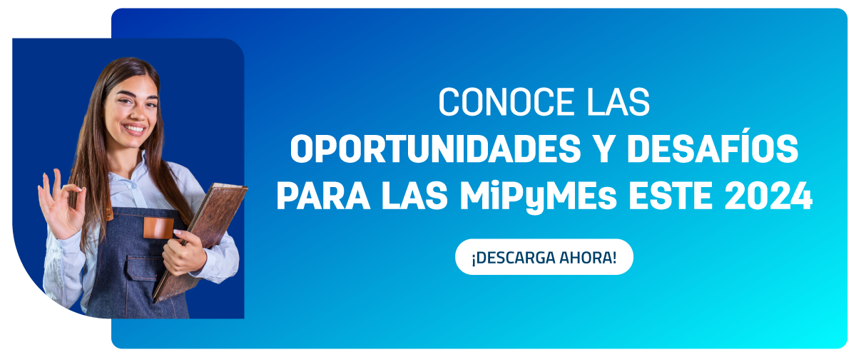 Estudios de Digitalización 2024 - Pie de Página