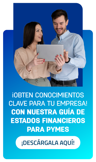 Guía de Estados Financieros - Barra Lateral