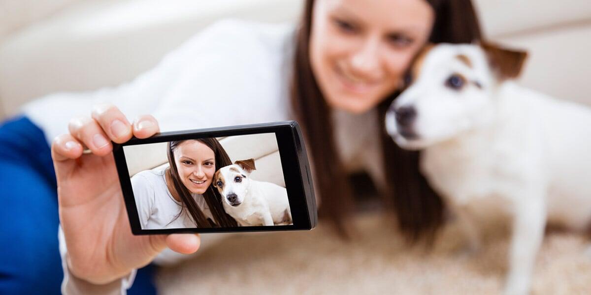 Las mascotas ocupan gran parte de las tendencias en negocios y actividades