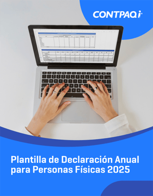 Plantilla de Declaración Anual para Personas Físicas 2025